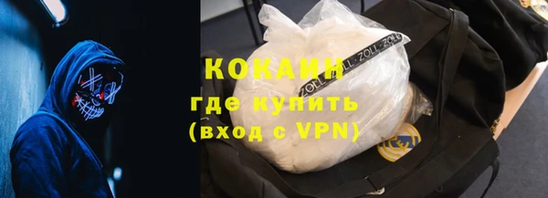 стаф Алексин