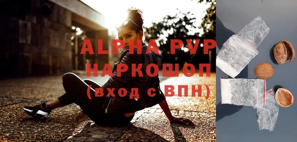стаф Алексин