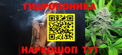 СК Нягань