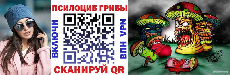 магазин наркотиков mega сайт Галлюциногенные грибы прущие грибы Тула